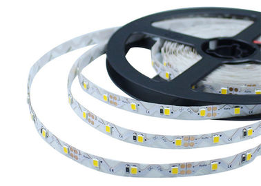 Porcellana L'ANNUNCIO firma le multi lampade fluorescenti colorate del LED, illuminazione flessibile del nastro di CC 12V LED fornitore